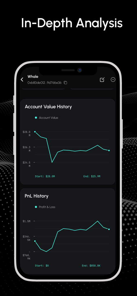 In-depth analysis of a crypto whale wallet showing account value and PnL history charts.