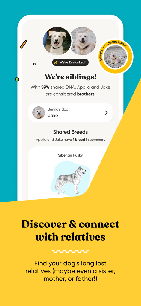 Embark Vet app screen showing a DNA sibling match and shared breed information for two dogs.