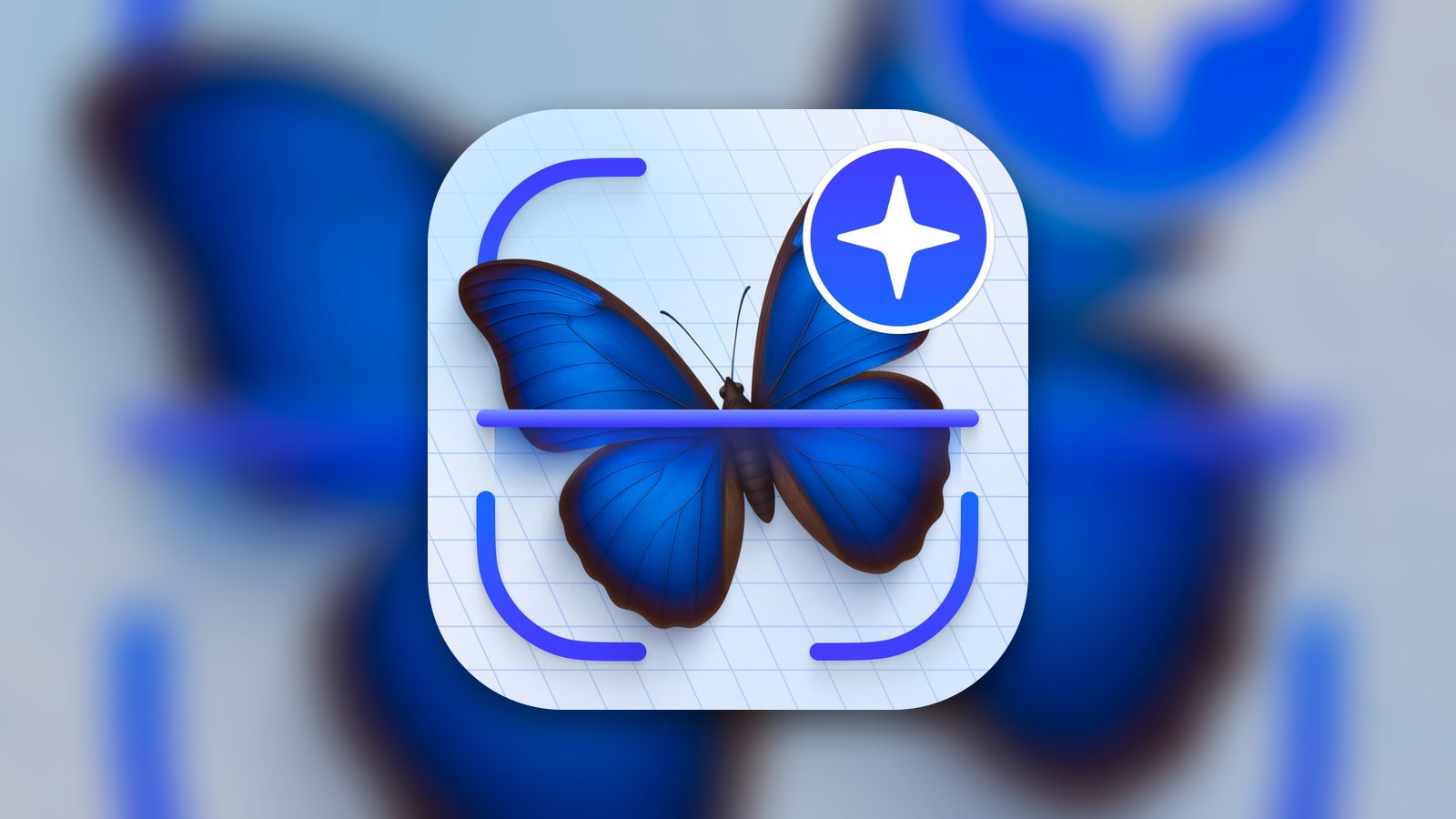 Identifier - Insect IQ - Education App | MWM