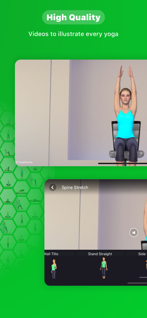 Seniors Yoga @ Graceful Aging - High quality video instruction for chair yoga spine stretch