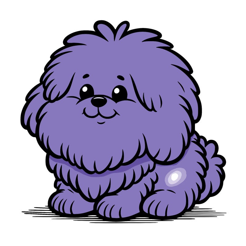 fluffy dog