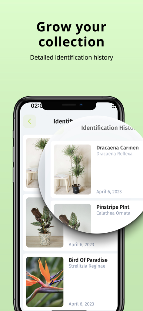 Interface de l'application Plantion montrant une liste de plantes identifiées avec leurs noms et photos dans la section historique