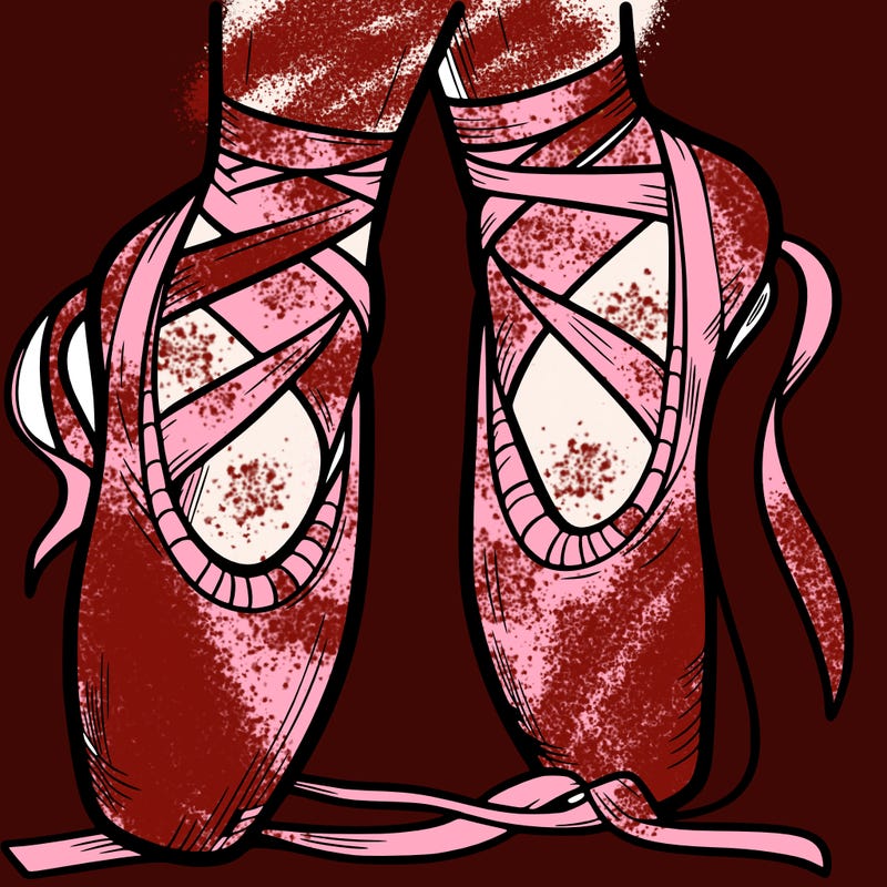 ballet shoes