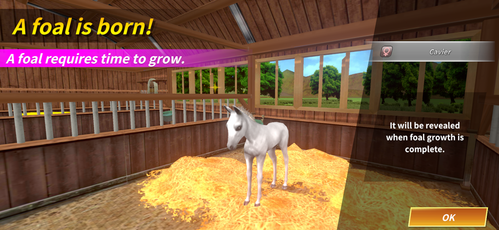 Derby Life - A white newborn foal standing on straw inside a wooden horse stable