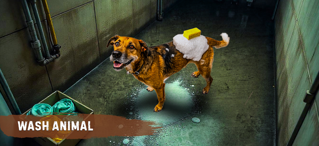 A smiling dog being washed with soap and a sponge in an animal shelter simulation.