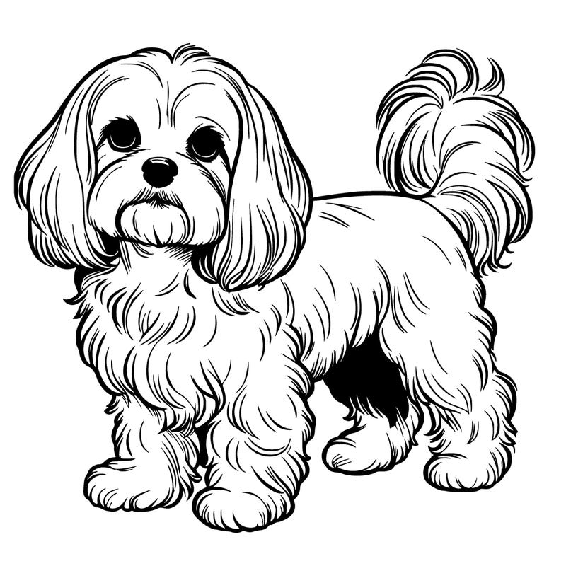 realistic maltese cocker spaniel mix