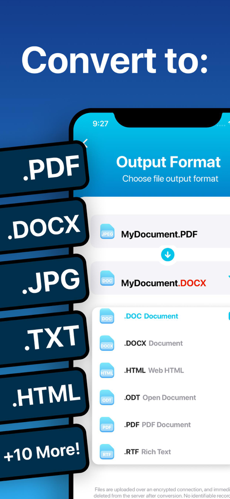 The Document Converter - Interfaz que muestra múltiples formatos de salida de archivo como PDF, DOCX y JPG para la conversión en la aplicación