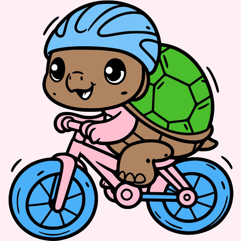 turtle on a bike