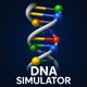 DNA Simulator