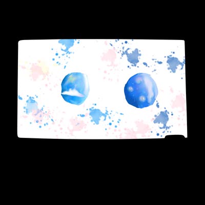 blank board