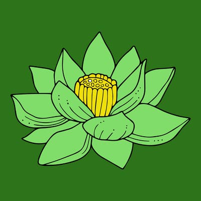 flowers_08