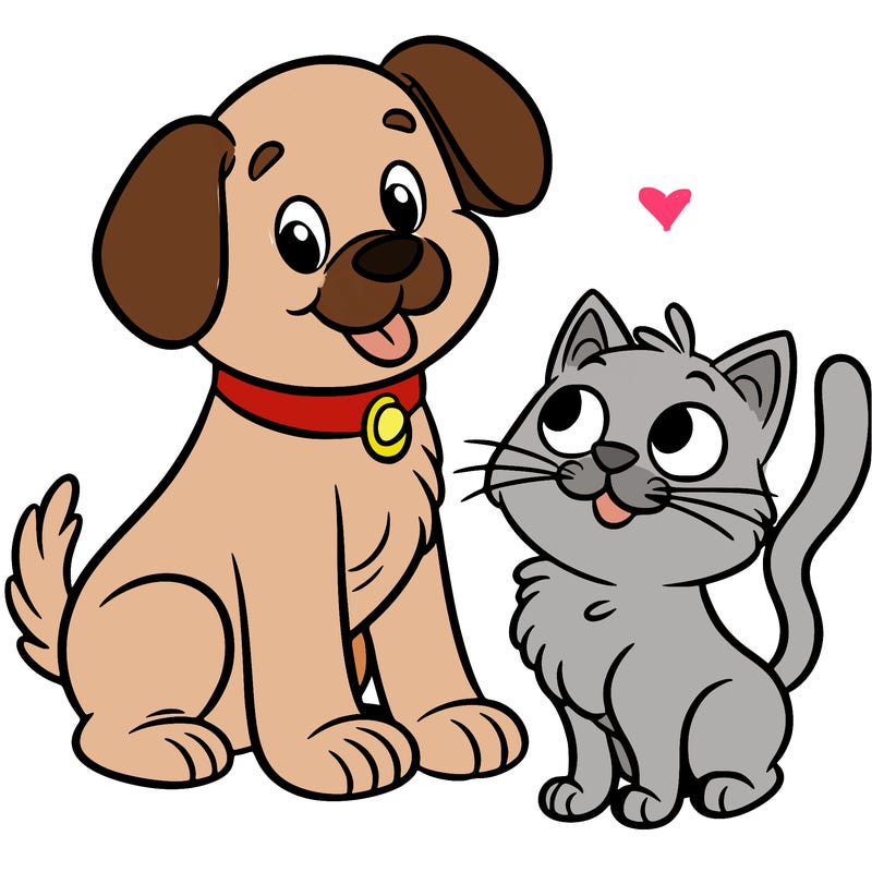 dog and cat