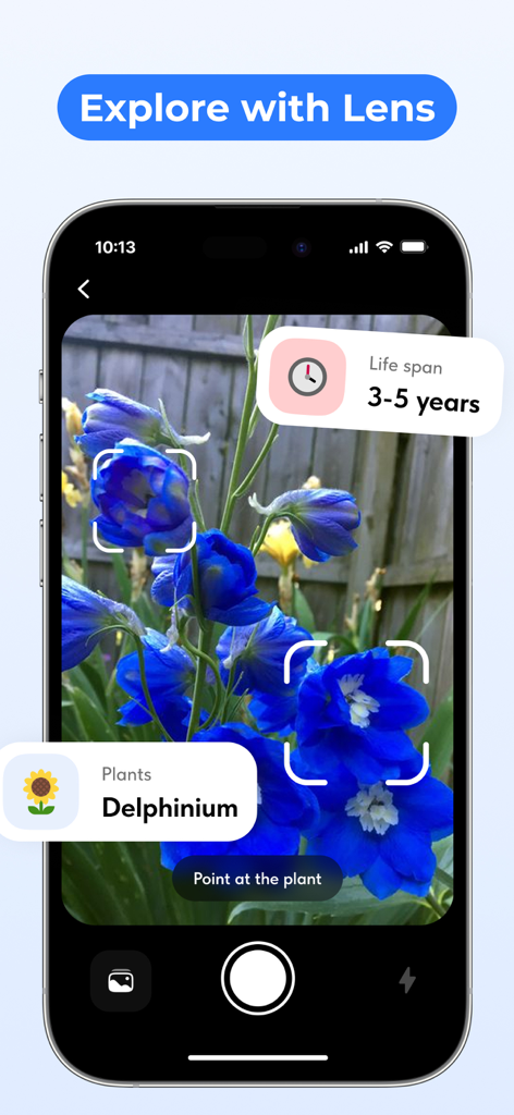 Smartphone screen using Lens Scan app to identify a blue Delphinium flower