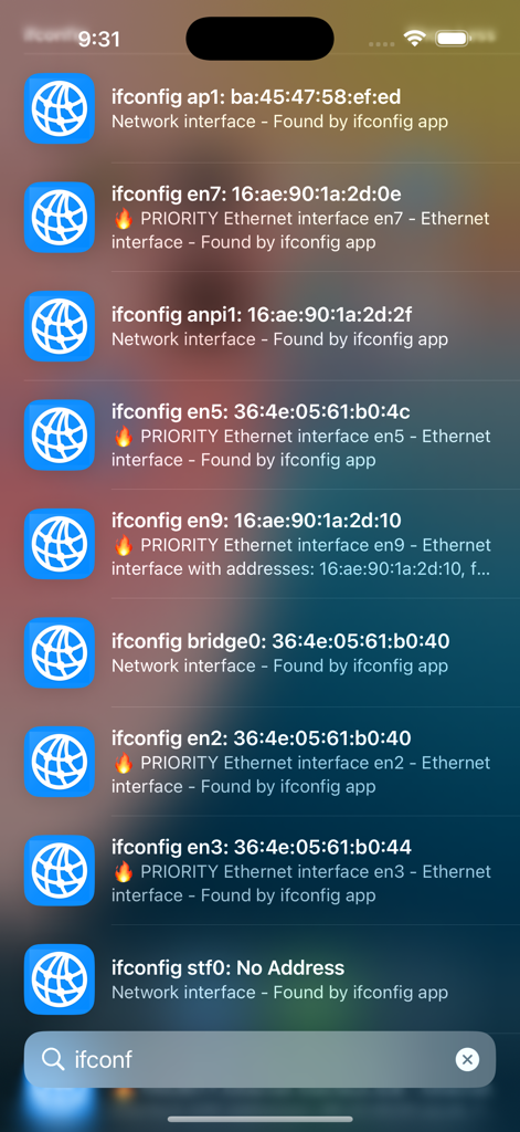 ifconfig - ifconfigアプリによってiOS Spotlight検索結果に表示されるネットワークインターフェース。