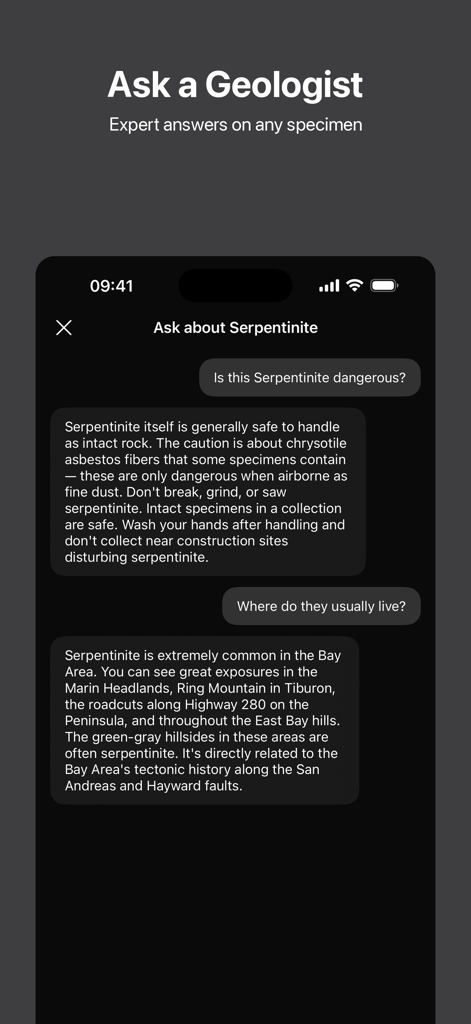 Rockr AI: Rock Identifier - Screenshot der Rockr AI App 'Fragen Sie einen Geologen' Chat-Oberfläche mit Expertenantworten zu Gesteinsproben