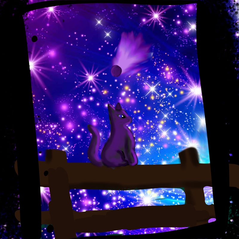 blank white page with nothing drawn on it