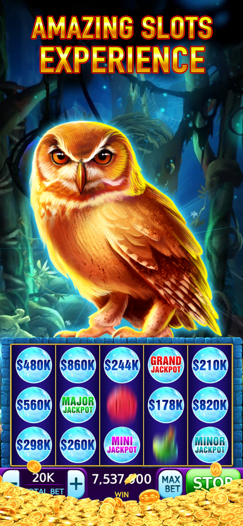 Slots: Vegas Casino Slot Games - Gameplay di slot machine a tema gufo che mostra premi jackpot grandi e maggiori