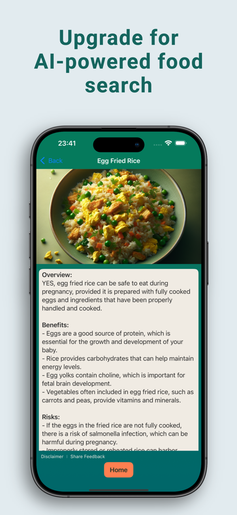 Pregnancy Food Checker & Guide - Mobile app screen showing AI powered pregnancy food safety analysis for egg fried rice