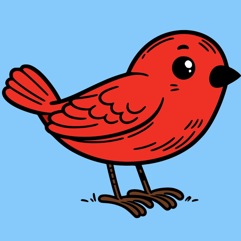 bird