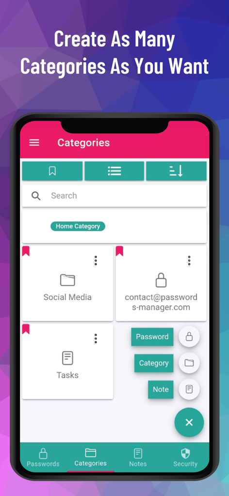 Ecrã da aplicação PM Pro a mostrar a organização de categorias personalizadas para palavras-passe e notas.