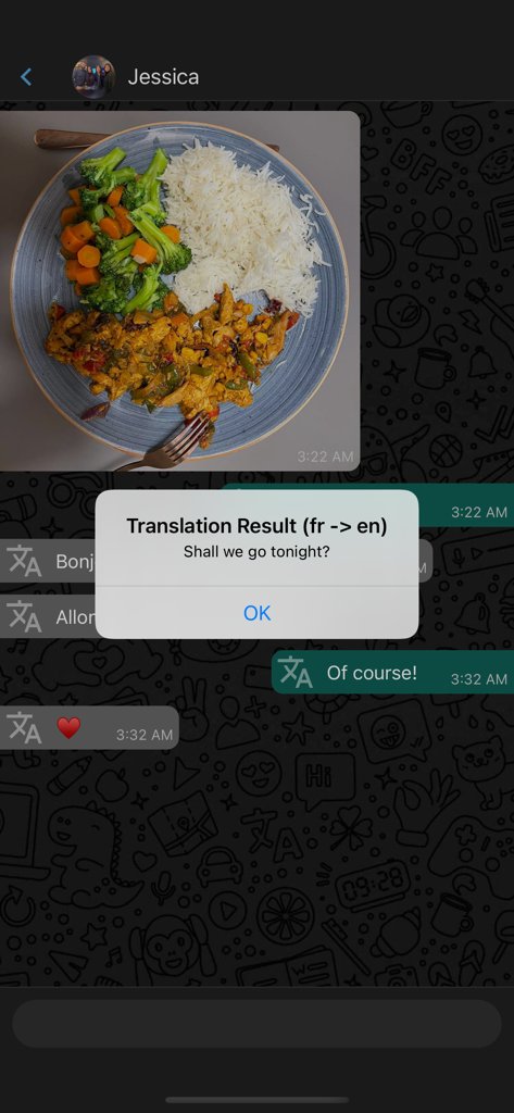 Chat Offline Plus No Last Seen - Translation result popup showing French to English conversion in the chat app interface