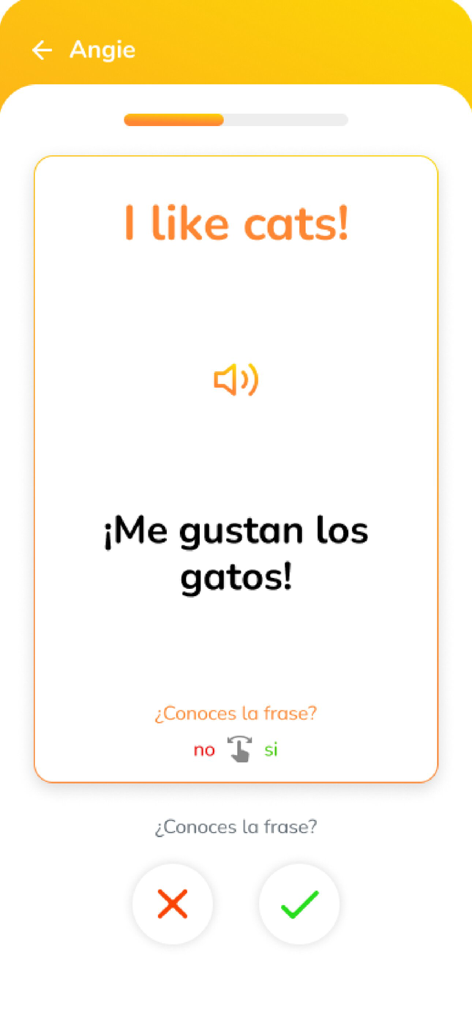 RAIO App - RAIO app interface showing a Spanish sentence flashcard for I like cats with audio and review options