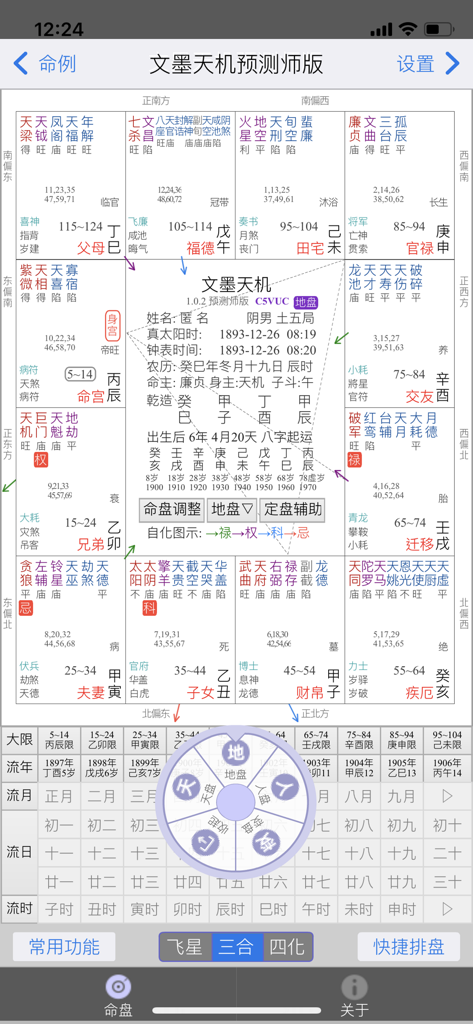 文墨天机®(专业版) - A detailed Zi Wei Dou Shu destiny chart interface in the Wenmo Tianji Professional Edition app