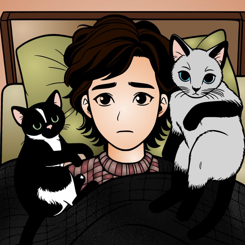 a 25 year old depressed girl laying on top of her bed with her two cats. one is a tuxedo cat and the other is a skinny saimese lynx point.