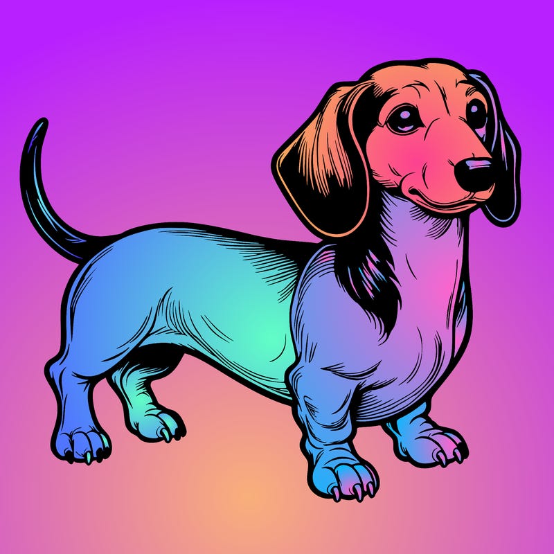 realistic dachshund