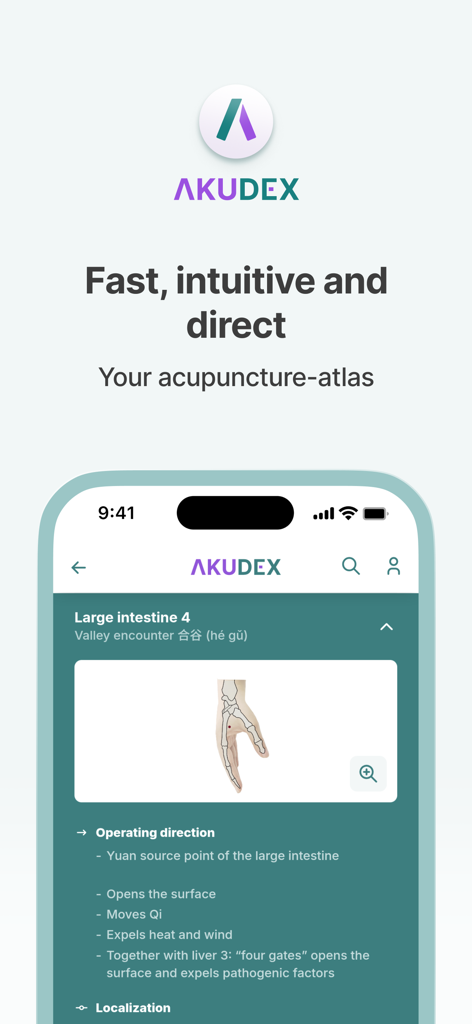AKUDEX Acupuncture - AKUDEX Akupunktur-Atlas-App-Oberfläche, die Details zum Punkt Dickdarm 4 und ein anatomisches Diagramm zeigt