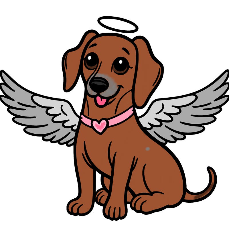 wiener dog with angel wings