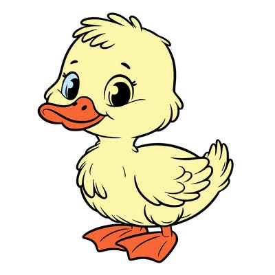 duckling