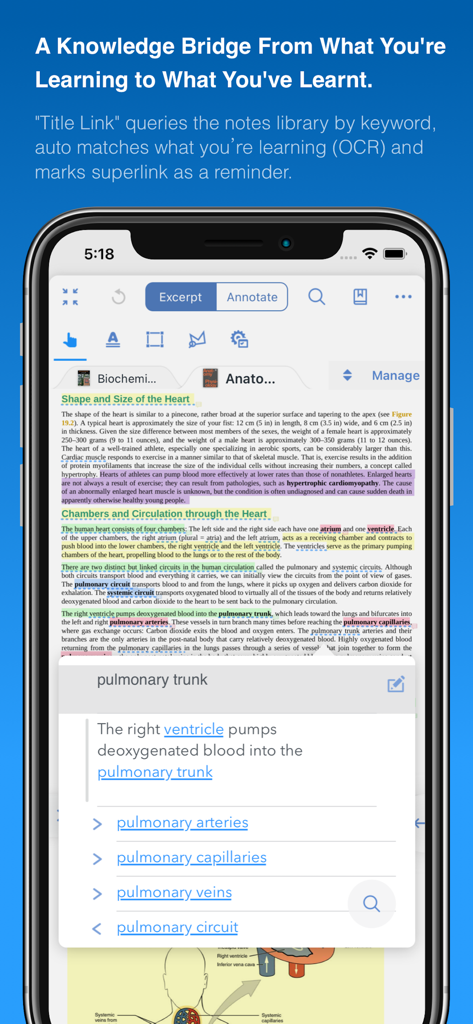 MarginNote 3 App-Oberfläche auf dem iPhone, die die Titellink-Funktion zeigt, die medizinische Studienbegriffe über OCR verbindet