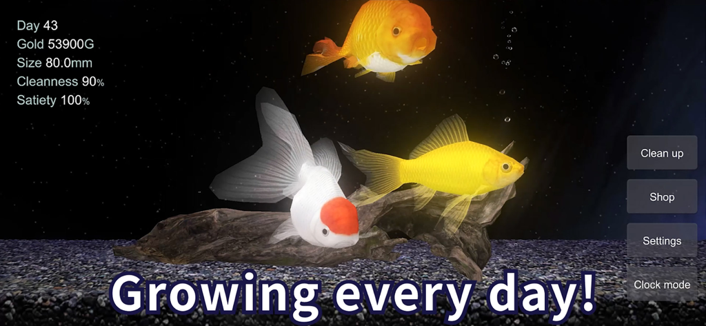 Goldfish - Aquarium Fish Tank - Three 3D goldfish swimming in a virtual aquarium tank
