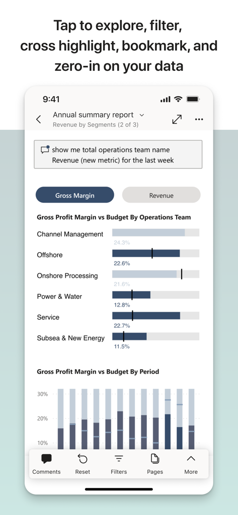 Microsoft Power BI - Microsoft Power BI Mobile App, die einen Jahresabschlussbericht mit Gewinnmargen-Diagrammen und Datenfiltern anzeigt.