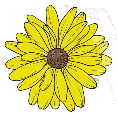 flowers_21