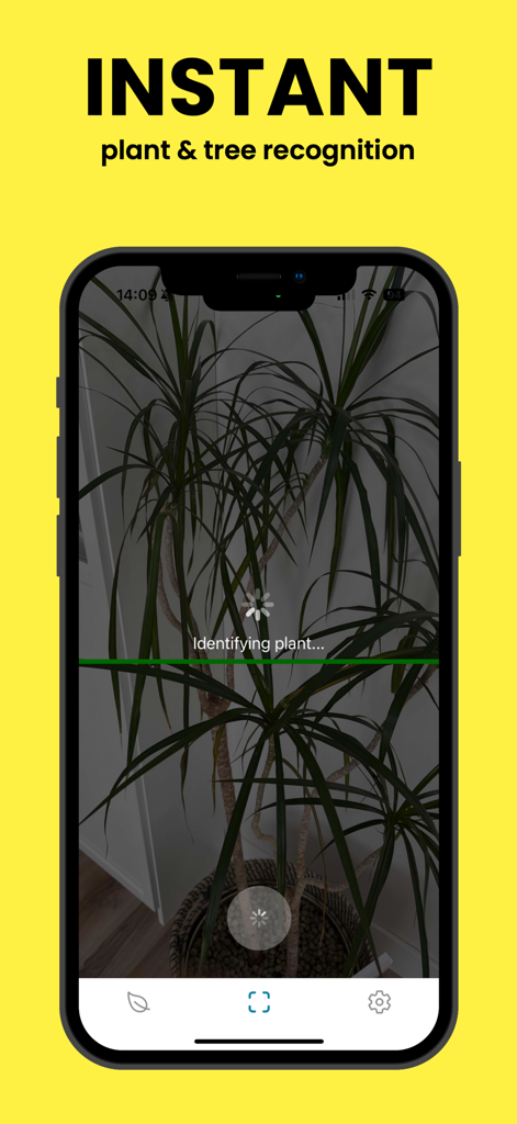 PlantScan - Detect & Diagnose - Um smartphone exibindo a interface do aplicativo PlantScan enquanto identifica uma grande planta de interior usando seu recurso de escaneamento de câmera