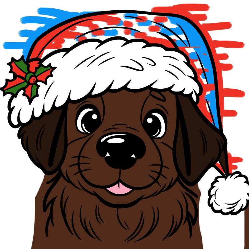 dog in a christmas hat