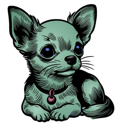 realistic chihuahua