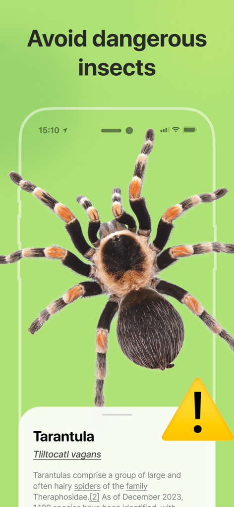 Bug Identifier: Insect, Spider - Captura de tela do aplicativo Identificador de Insetos identificando uma tarântula com um aviso de segurança