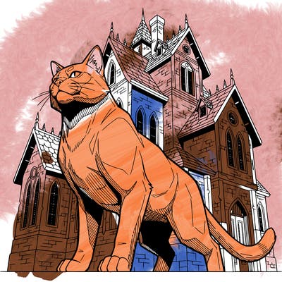 the cat is standing near the house