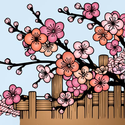 japan cherry blossom