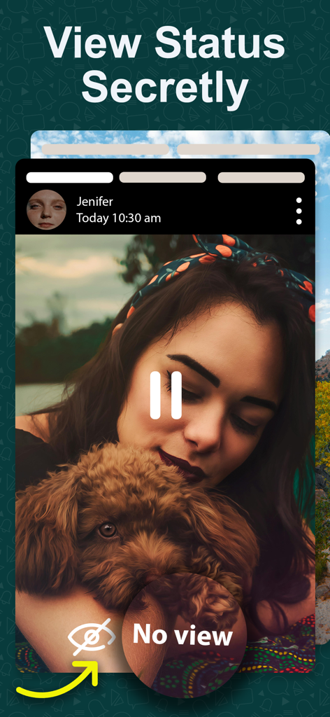 Mobile app interface demonstrating the secret status viewing feature with a privacy icon and the text View Status Secretly.