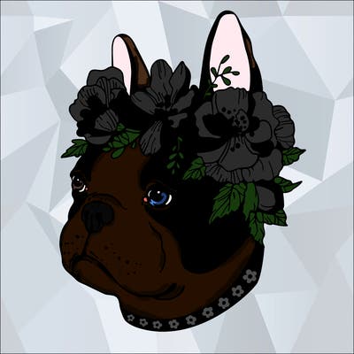 animals_76