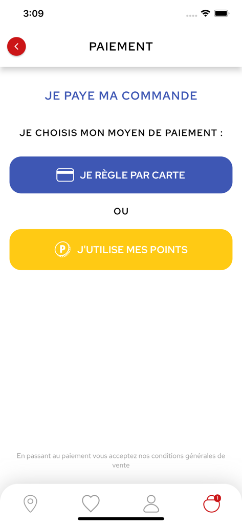 Smart Pizza - Smart Pizza app payment screen with options to pay by credit card or use loyalty points
