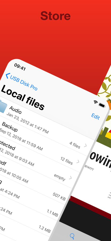 USB Disk Pro for iPhone - USB Disk Proアプリのインターフェース。iPhone上のローカルフォルダとファイルのリストを表示。