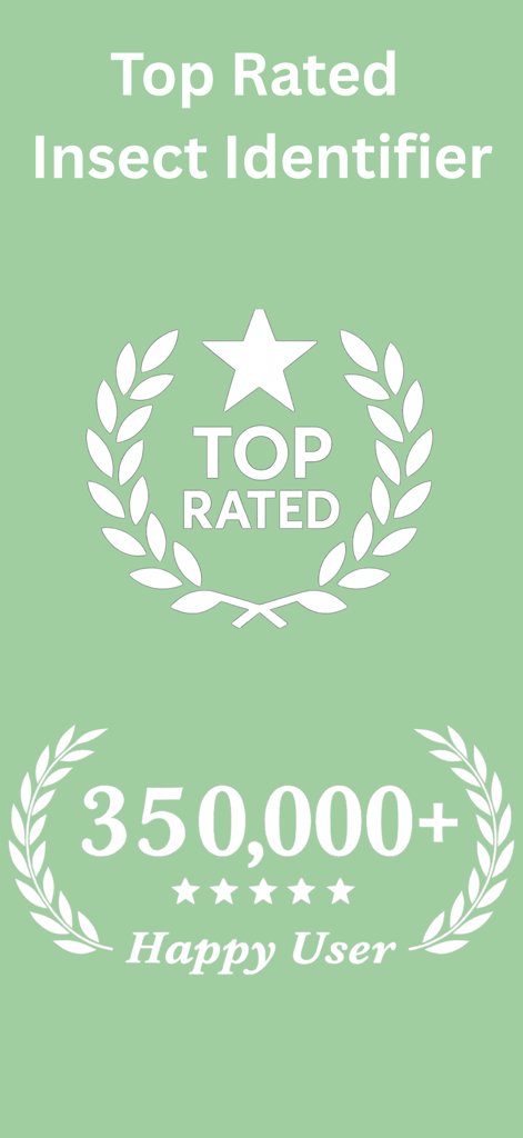 Butterfly Identifier: Photo ID - Promotional screen for Butterfly Identifier app showing top rated status and over 350,000 happy users