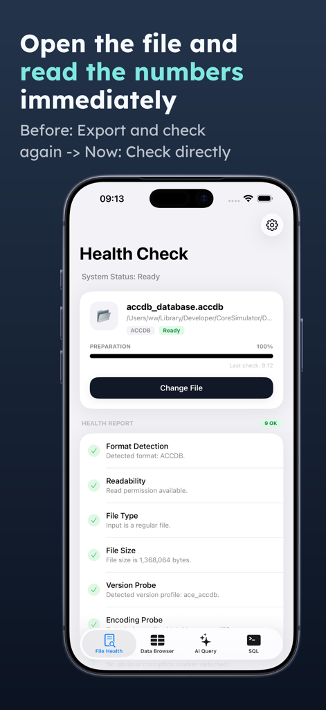 Access Database Viewer: MDB AI - The Health Check screen of the Access Database Viewer app displaying diagnostics and file status for an ACCDB database.