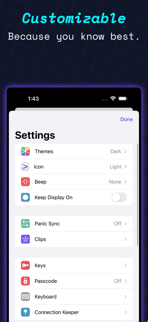 Prompt 3 - Settings screen of the Prompt 3 terminal app showing customization options for themes icons and security keys