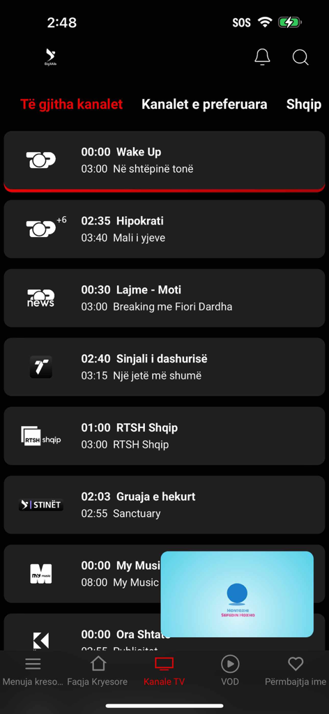 Interface of the DigitAlb app displaying a list of live Albanian TV channels and their programming schedules